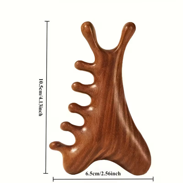 4 In 1 Massage Comb