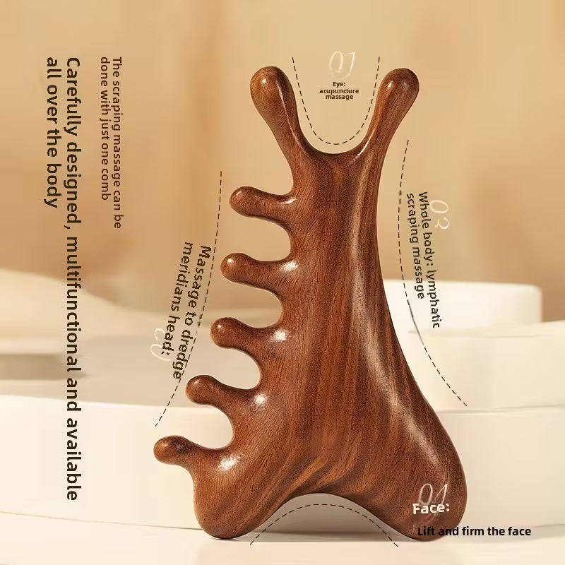 4 In 1 Massage Comb